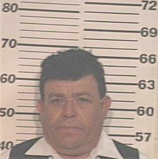 Villagomez Leonel - Hidalgo County, TX 