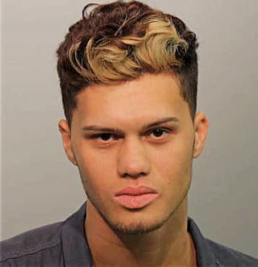 Rodriguez Luis - Seminole County, FL 