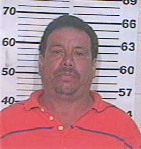 Ramirez Rene - Hidalgo County, TX 