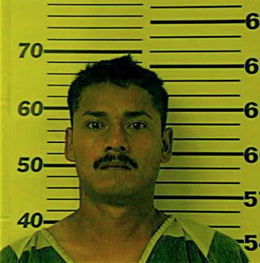 Gomez-Flores Uriel - Henderson County, TX 