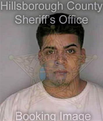 Valladares Freddy - Hillsborough County, FL 