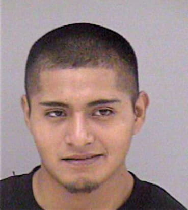 Bazante Gerardo - Madera County, CA 
