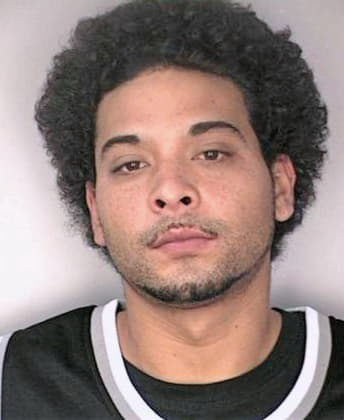 Ortiz Julian - Hillsborough County, FL 