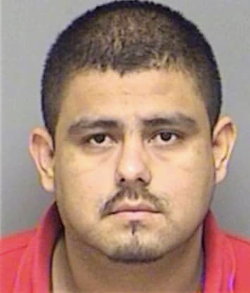 Salinas Salome - Denton County, TX 