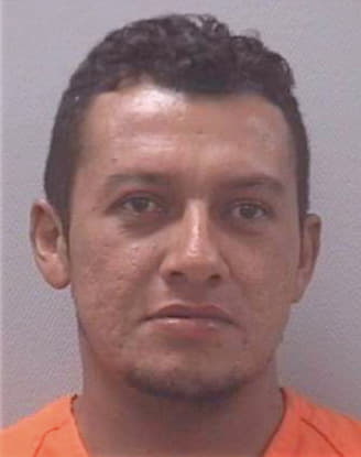 Holzner-Robles Luis - Lexington County, SC 