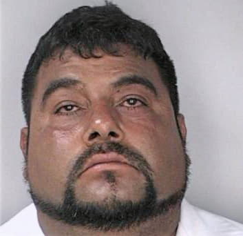 Millares Sergio - Hillsborough County, FL 