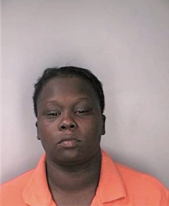 Ford Ashley - Hillsborough County, FL 