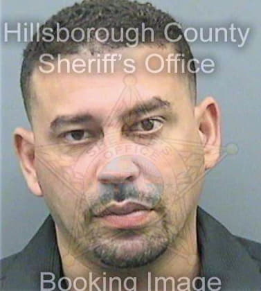 Rodriguez Francisco - Hillsborough County, FL 