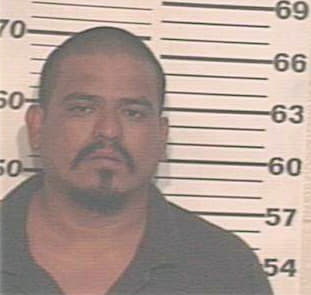 Garza Jesus - Hidalgo County, TX 