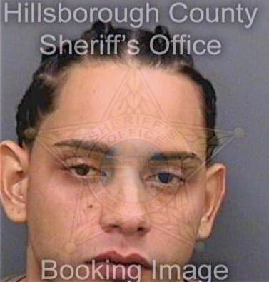 Colonsoto Jose - Hillsborough County, FL 