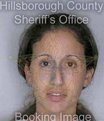 Joseph Soraya - Hillsborough County, FL 