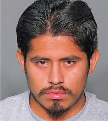Pedro Vicente - Wake County, NC 