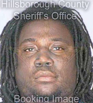 Hill Arron - Hillsborough County, FL 