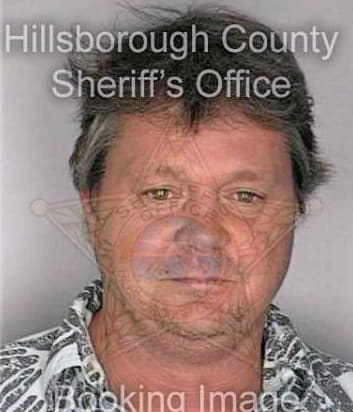 Dennis David - Hillsborough County, FL 