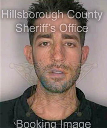 Folsom David - Hillsborough County, FL 
