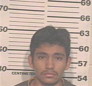 Robles Efrain - Hidalgo County, TX 