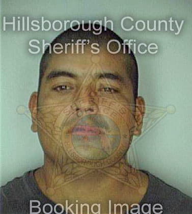 Rodriguez Hector - Hillsborough County, FL 