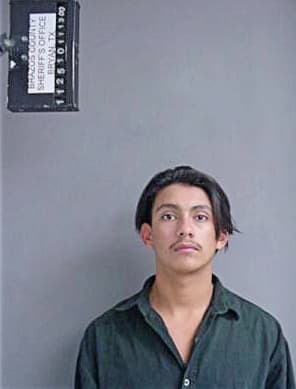Benitez-Lara Jose - Brazos County, TX 