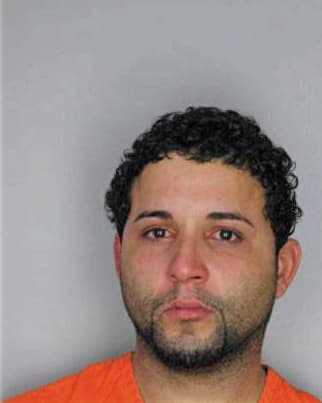 Rentas Luis - Hillsborough County, FL 