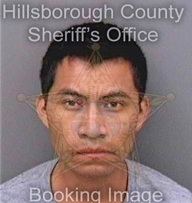 Perezjimenez Benjamin - Hillsborough County, FL 