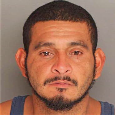 Rivas Gerson - Berkeley County, SC 