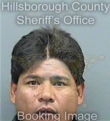 Davila Jesus - Hillsborough County, FL 