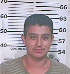 Hernandez Juan - Hidalgo County, TX 