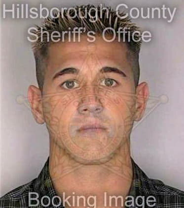 York Christopher - Hillsborough County, FL 