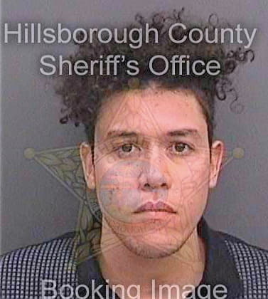 Figueroa Julian - Hillsborough County, FL 