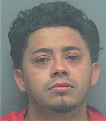 Mazariegos Kelvin - Lee County, FL 