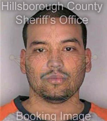 Silva Mariano - Hillsborough County, FL 