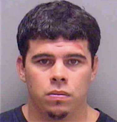 Hernandez Ryan - Lee County, FL 