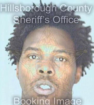 James Tamiko - Hillsborough County, FL 