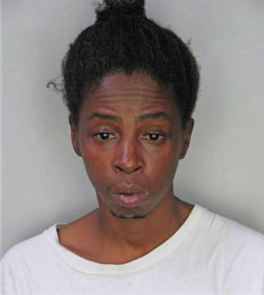 Hismith Darvette - Hillsborough County, FL 