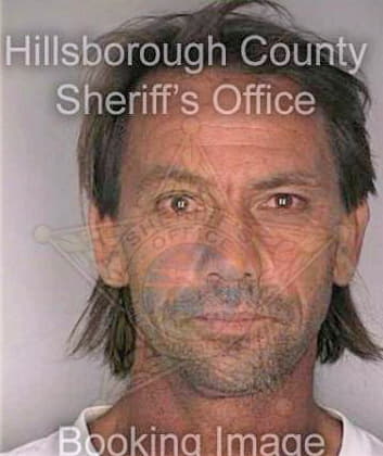 Hanson David - Hillsborough County, FL 