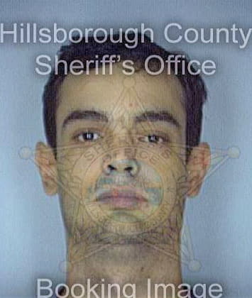 Camoes Denis - Hillsborough County, FL 