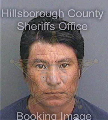 Castanedajuarez Gerardo - Hillsborough County, FL 