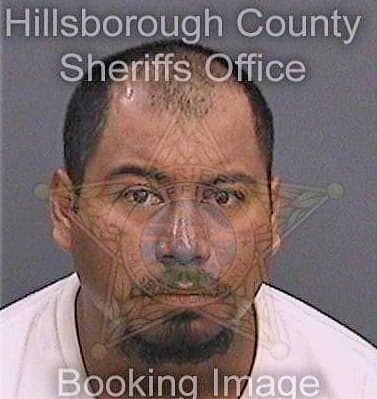 Parramarquez Ivan - Hillsborough County, FL 
