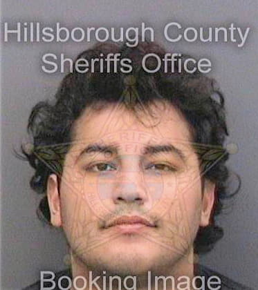 Medina Jesus - Hillsborough County, FL 
