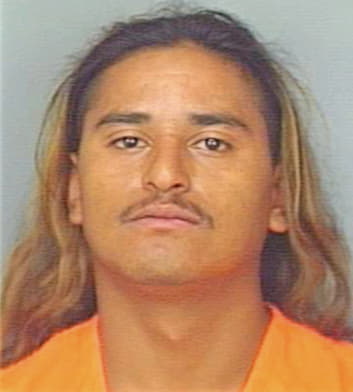 Deleon Pedro - Polk County, FL 