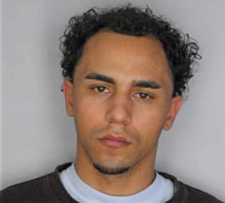 Camarda Louis - Hillsborough County, FL 