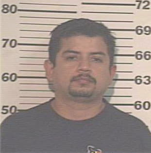 Perales Luis - Hidalgo County, TX 