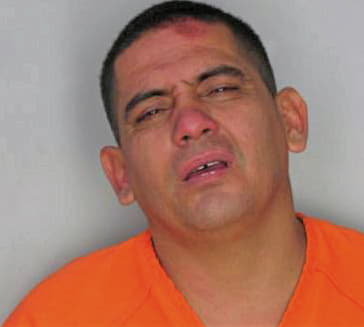 Ceciliaborges Osmel - Hillsborough County, FL 
