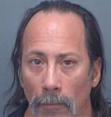 Hoffman Rodney - Pinellas County, FL 