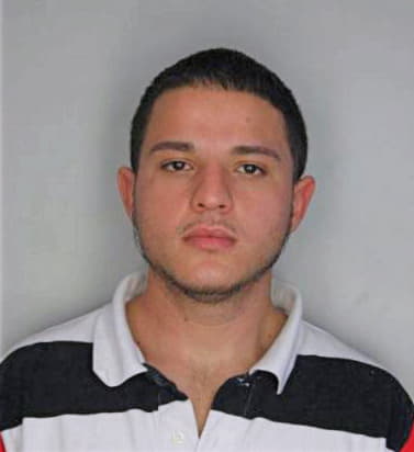 Lopezgonzalez Christian - Hillsborough County, FL 