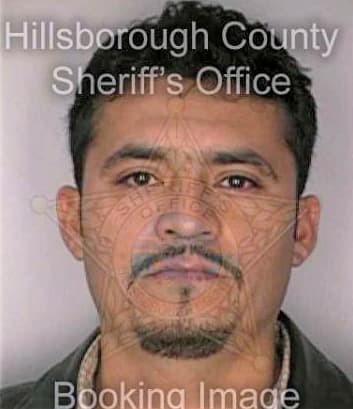 Hernandez Jose - Hillsborough County, FL 
