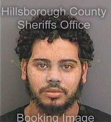 Garciamedina Kevin - Hillsborough County, FL 