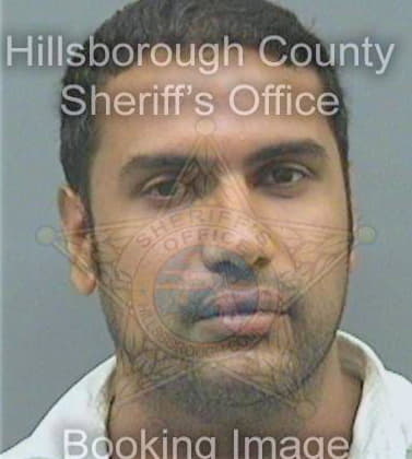 Singh Chandrapaul - Hillsborough County, FL 