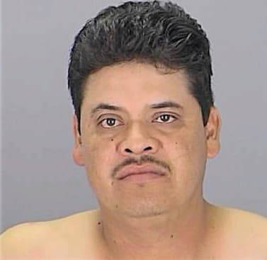 Hernandez David - Pasco County, FL 