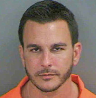 Masino Nicholas - Collier County, FL 